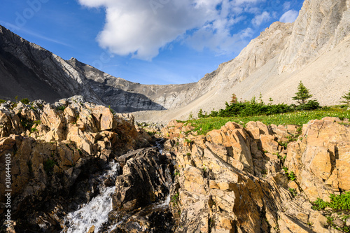 Summer in the Rocky Mountains