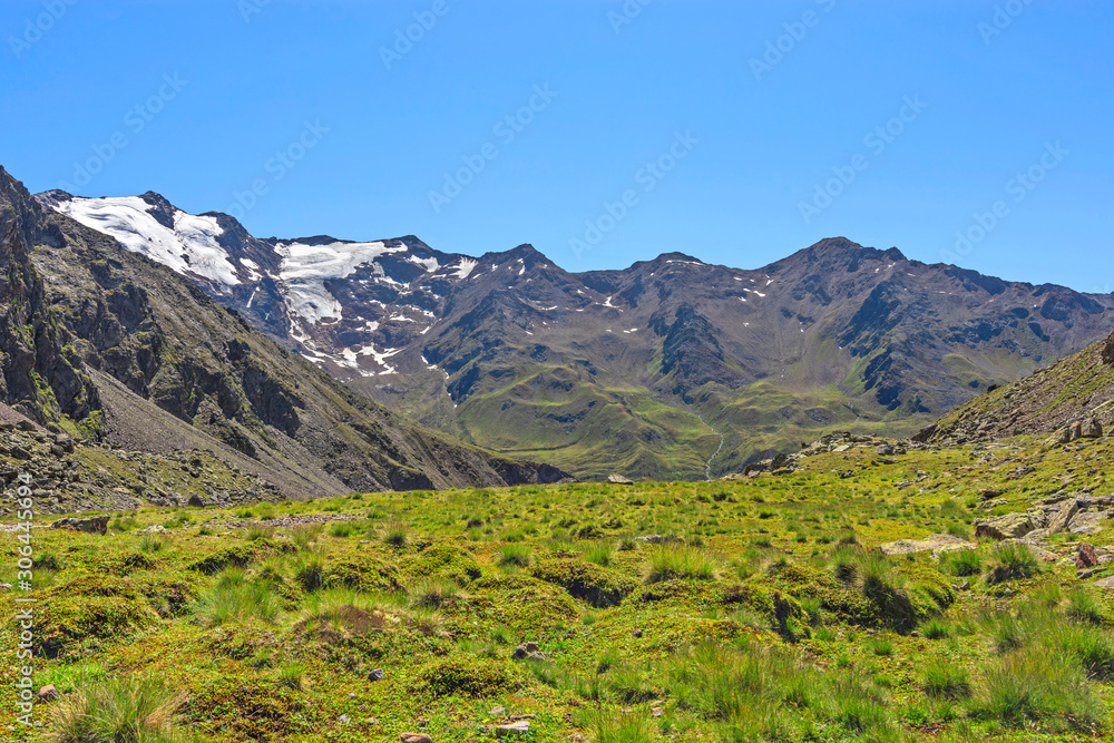 Alpine landscape with lush-green grass,glaciers and rocky mountains under blue sky. Oetztal Alps, South Tyrol, Italy
