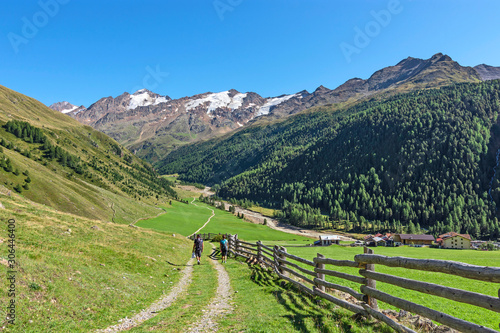 Hikers in alpine landscape with lush-green meadows, glaciers and rocky mountains under blue sky. Oetztal Alps, South Tyrol, Italy