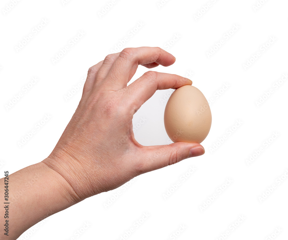 Hand Holding Raw Chicken Egg Isolated on White Background Hand Holding Raw Chicken Egg Isolated on White Background