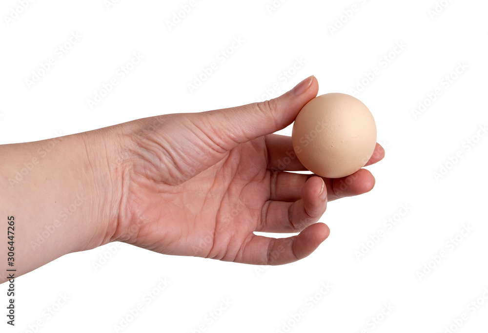 Hand Holding Raw Chicken Egg Isolated on White Background Hand Holding Raw Chicken Egg Isolated on White Background
