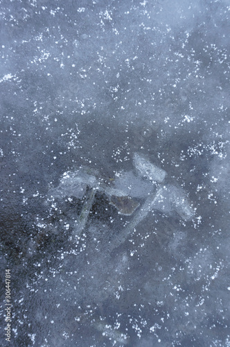 Texture of ice with frozen plants, winter background © Ruslan