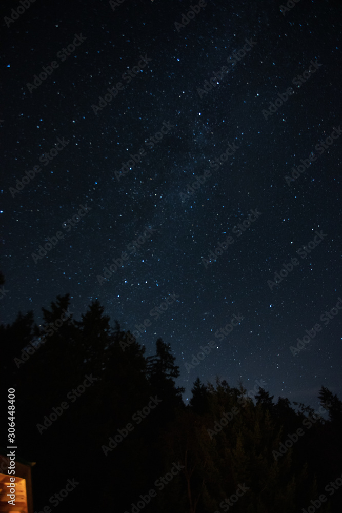 Fototapeta premium night sky with stars