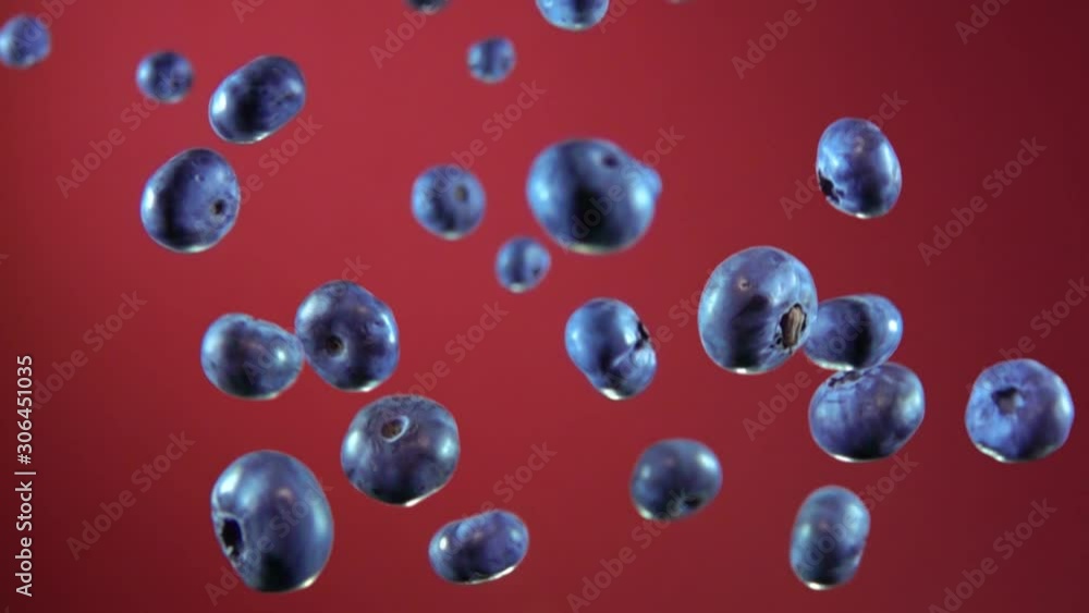 Big blueberry bouncing and flying up on a red background in slow motion Big blueberry bouncing and flying up on a red background in slow motion