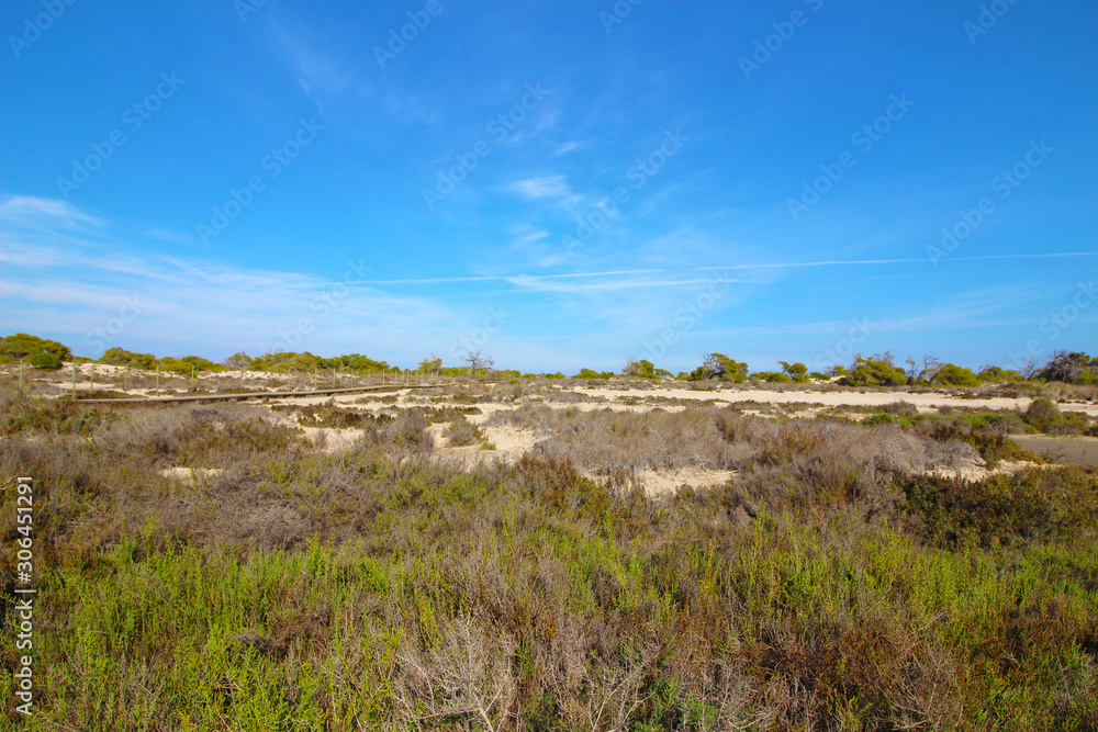 Arenales de San Pedro del Pinatar, Murcia, España Arenales de San Pedro del Pinatar, Murcia, España
