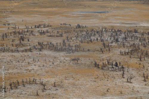 Landscape of the Okavango Delta from an aerial view, Botswana, Africa