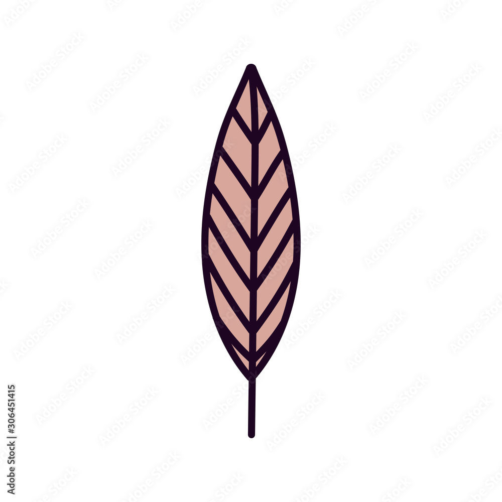 leaf foliage botanical nature icon design leaf foliage botanical nature icon design
