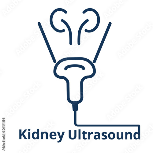 Kidney ultrasound scan icon