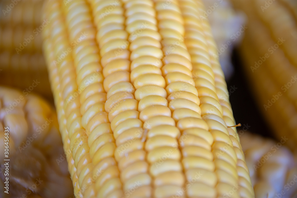 corn cob corn cob