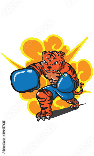 tiger boxing © BEER6