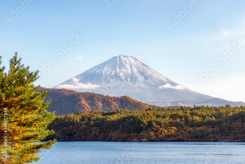 Fuji Mountain in Autumn at Lake Saiko, Japan