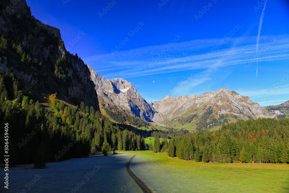 The large mountains with clear blue skies and pine trees in the Swiss countryside village are beautiful landscapes.