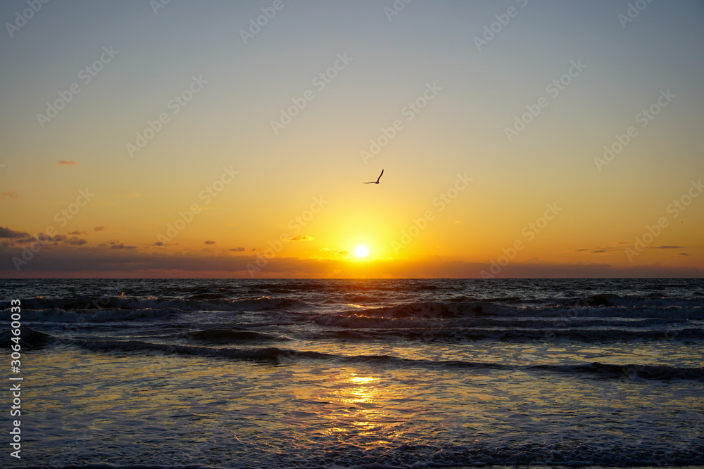 Sunrise Sunrise