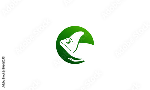 chameleon