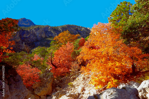 Guadalupe Mountains National Park