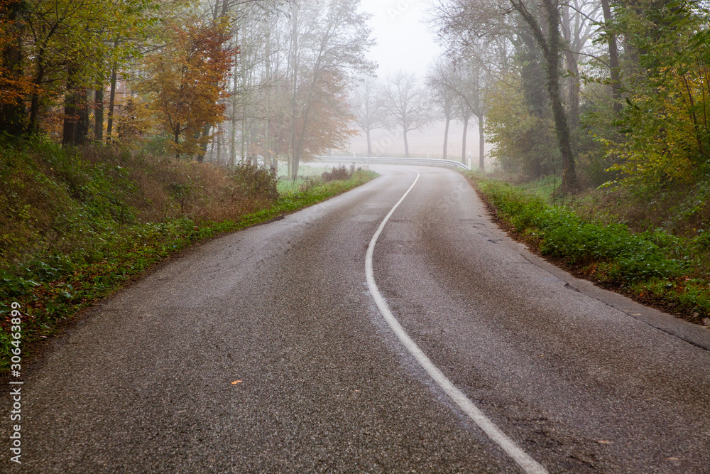 beautiful foggy forest in autumn