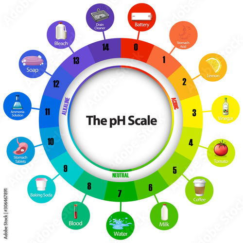 Diagram showing ph scale