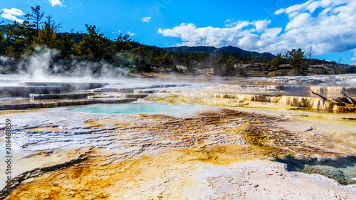 Crystal Clear Blue Water and Brown Bacteria Mats created by cyanobacteria in the water of the Travertine Terraces formed by Geysers at Mammoth Hot Springs in Yellowstone National Park in Wyoming, Unit