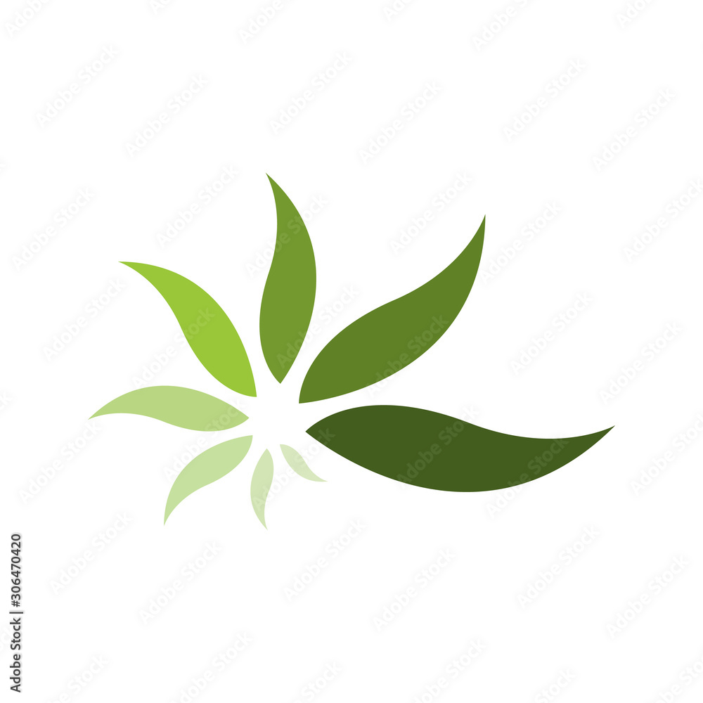 simple and modern green leaf logo vector elements