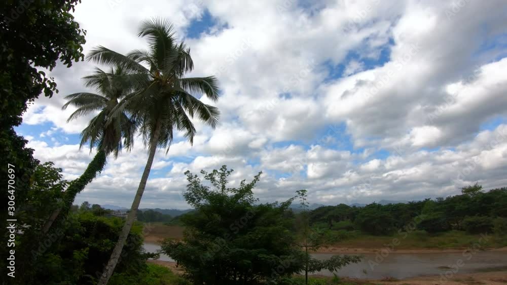 Time lapse clouds moving at riverside with coconut palm trees. Time lapse clouds moving at riverside with coconut palm trees.