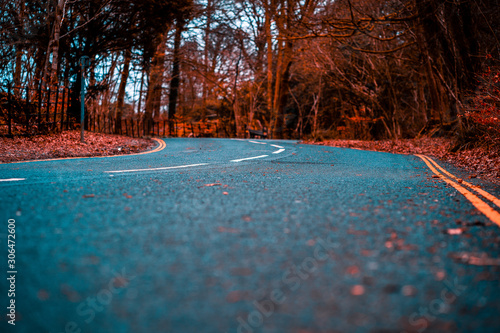 Curvy road in autumn with fall colors and bokeh (blurred background) in a forest. Street with bendy double yellow line in the Lake District, Cumbria, UK.