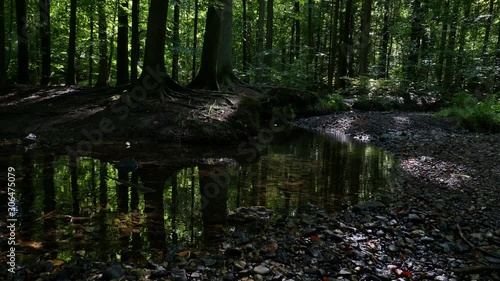 In the forest on the edge of the small town Leopoldstal in North Rhine Westphalia meanders the small creek with the name Silberbach. The trees are reflected in the water. photo