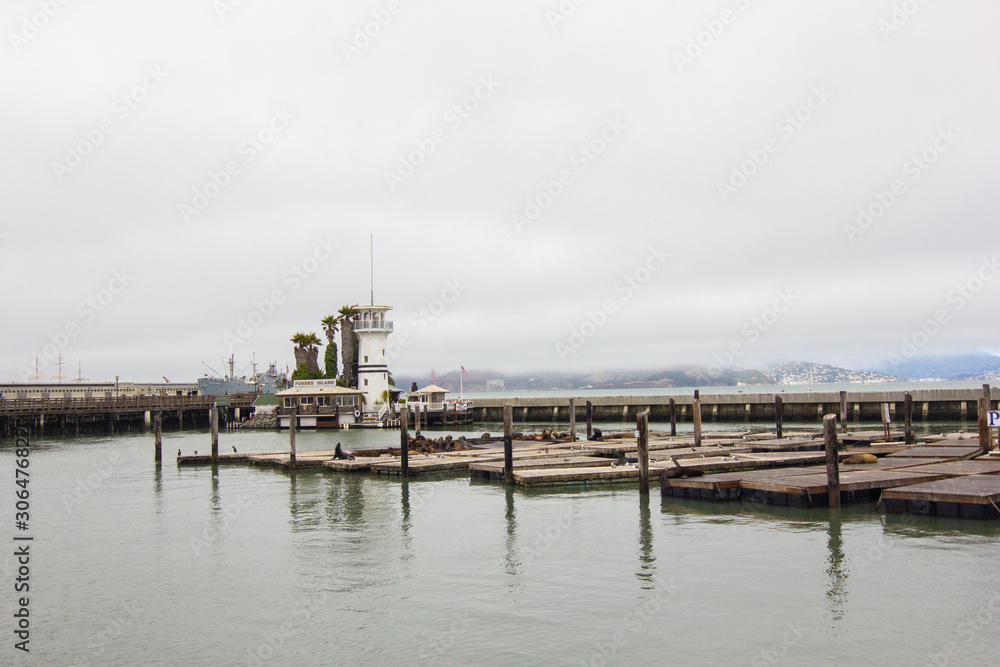 Sea Lions on Wooden Docks in Bay Water with Grey Clouds