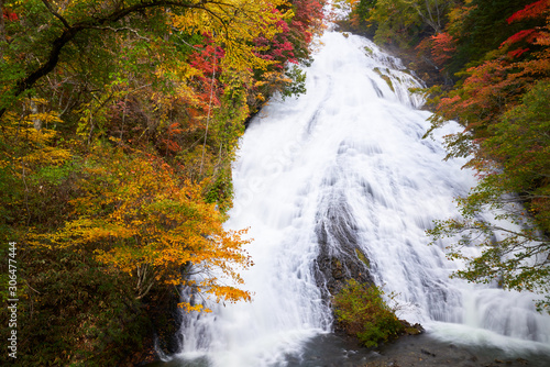perfect view of yudaki fall with autumn season in nikko japan