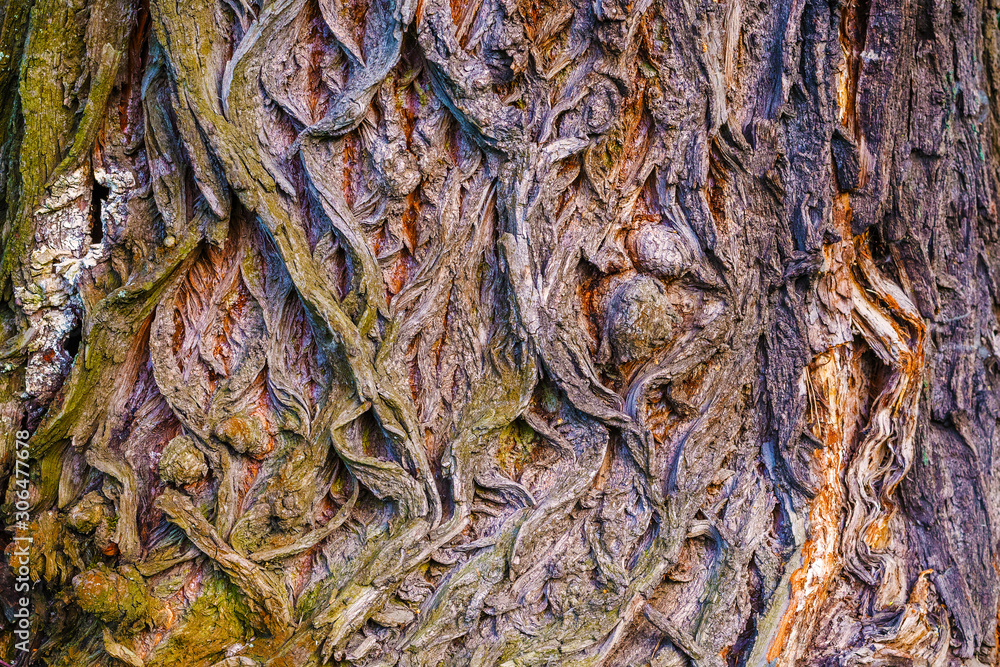 Natural texture and pattern of the bark of an old tree Natural texture and pattern of the bark of an old tree