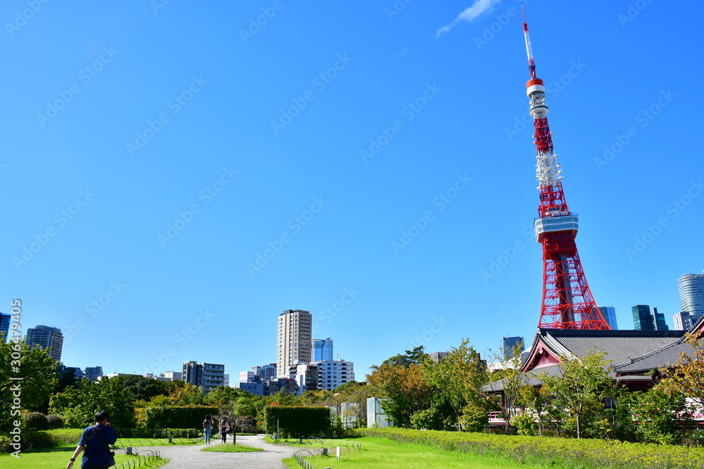 Fototapeta premium Tokyo Tower from The Garden