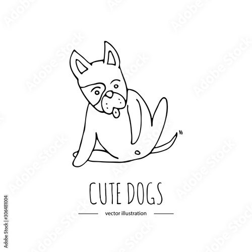Hand drawn doodle set of cute dogs icons Vector illustration set. Cartoon normal everyday home pets activities symbols. Sketchy puppy collection: take a shower, grooming, sleep, walk, washing teeth