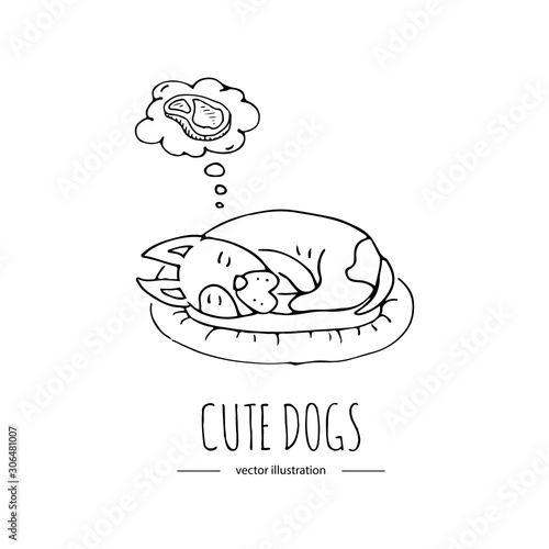 Hand drawn doodle set of cute dogs icons Vector illustration set. Cartoon normal everyday home pets activities symbols. Sketchy puppy collection: take a shower, grooming, sleep, walk, washing teeth
