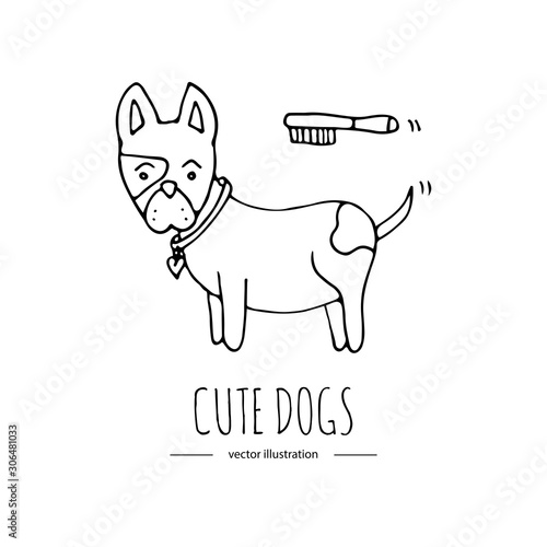 Hand drawn doodle set of cute dogs icons Vector illustration set. Cartoon normal everyday home pets activities symbols. Sketchy puppy collection: take a shower, grooming, sleep, walk, washing teeth