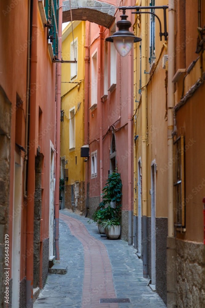 Fototapeta premium Narrow street in the centre of Manarola village, Cinque Terre land, Italy