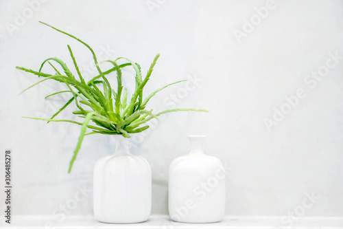Green plant in white vases put on white mortar shelf front of white mortar wall in the toilet.