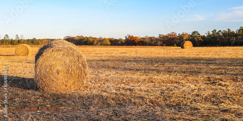 South Georgia Hay Field