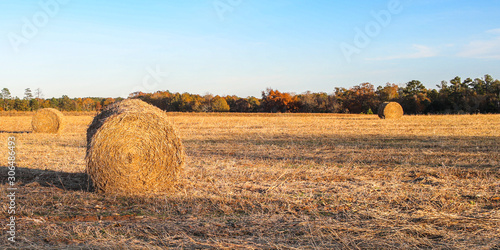 South Georgia Hay Field