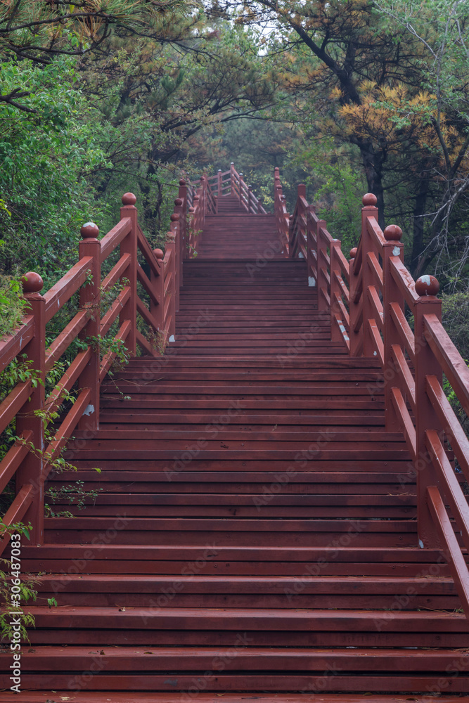 A boardwalk made of red wood in a forest