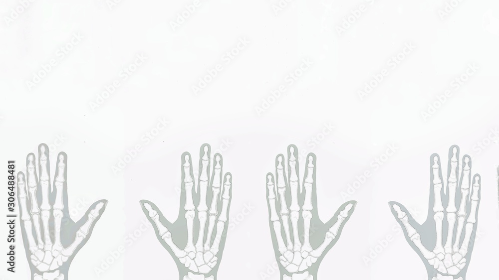 Fototapeta premium Finger bones isolated on a white background