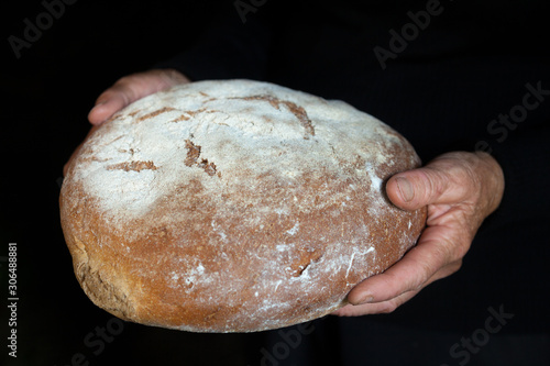 Hands holding fresh round bread.