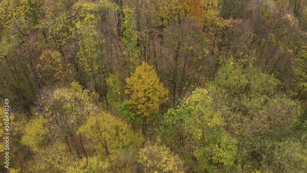 Fly over forest concept above trees in autumn season beautiful orange color and autumn trees areal landscape. Drone view above woodland. Fly over forest concept above trees in autumn season beautiful orange color and autumn trees areal landscape. Drone view above woodland.