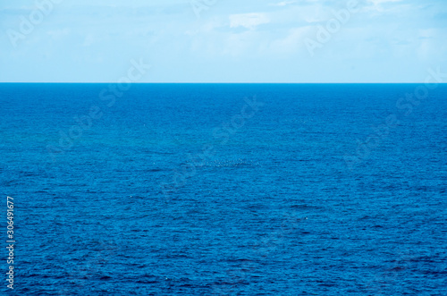 Clear empty ocean with a small flock of birds in the distance