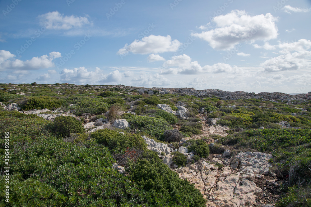 Côte rocheuse à proximité du cap et du phare de Cavallería, Minorque, îles Baléares