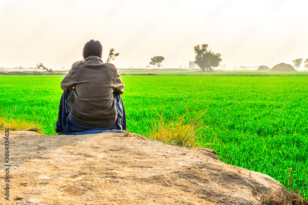 a young farmer sitting next to beautiful view of fresh and growing wheat green fields and sunlight in the background 