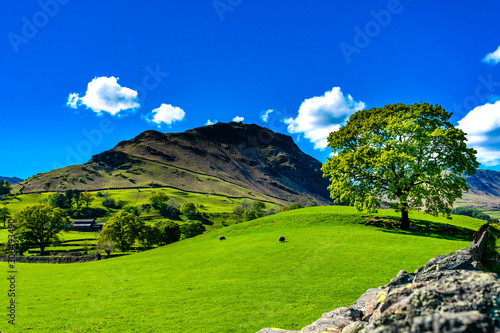 Lake District landscape in the surroundings of Grasmere village in Cumbria, England. Sunny day with blue sky and fluffy clouds.