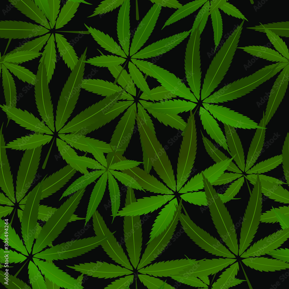 Cannabis leaves seamless pattern. Hemp background. Green marijuana texture.