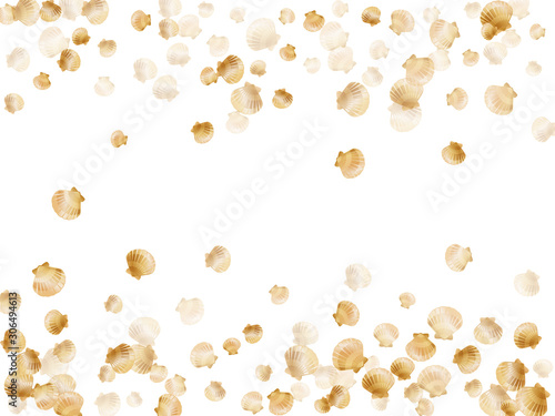 Gold seashells vector, golden pearl bivalved mollusks. 