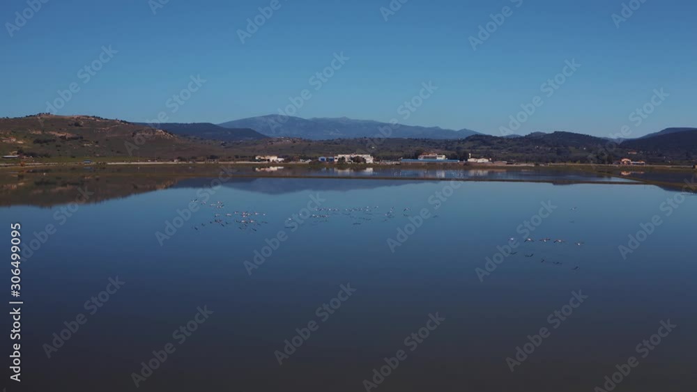 flying drone following Groups of Flamingos flying over water in a lake on a hot summer day in Greece, Mitilini flying drone following Groups of Flamingos flying over water in a lake on a hot summer day in Greece, Mitilini