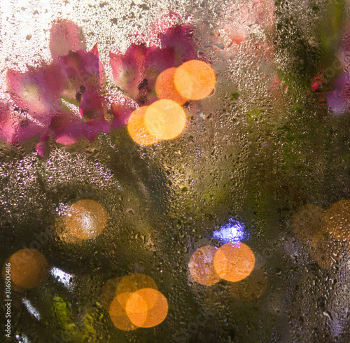 Flowers and light garlands behind the glass photo