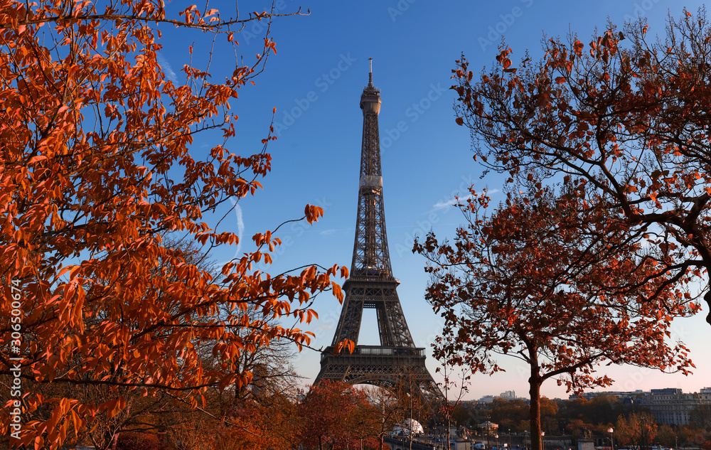 Beautiful view of autumn trees with the Eiffel tower in the foreground in Paris.